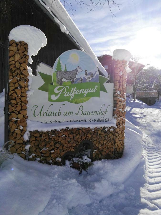 Palfengut Apartment Altenmarkt im Pongau Exterior foto