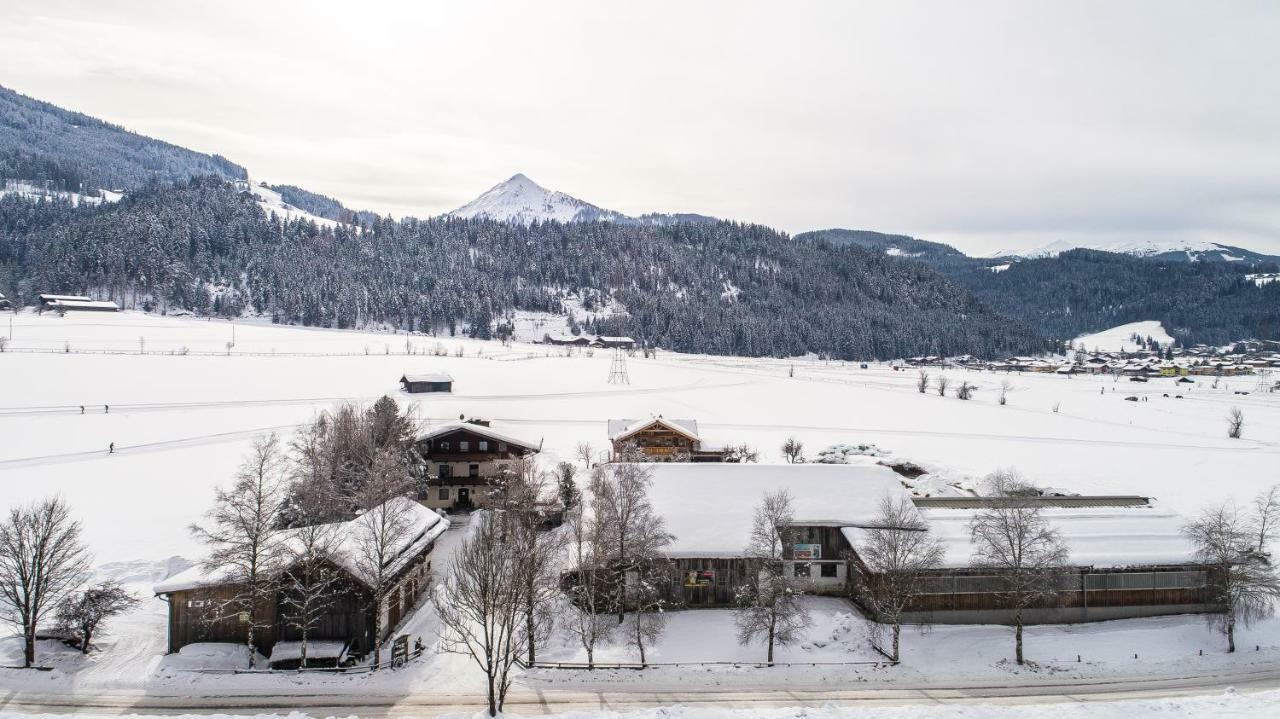 Palfengut Apartment Altenmarkt im Pongau Exterior foto